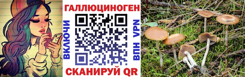 kraken ССЫЛКА  Данилов  Галлюциногенные грибы мухоморы  наркота 